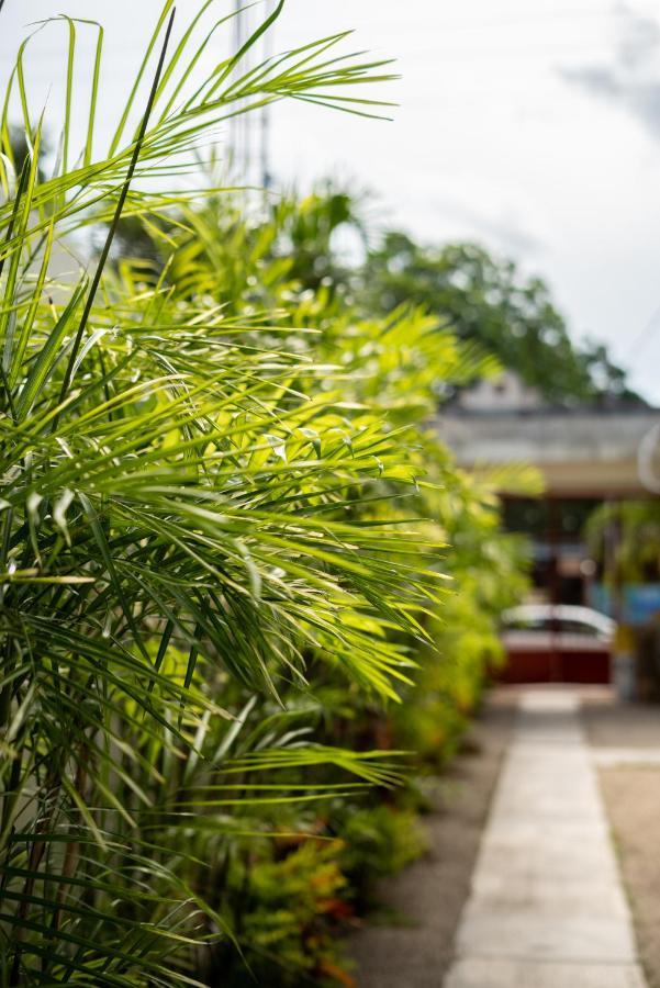 Hotel Casa Sabina Bacalar Exterior foto